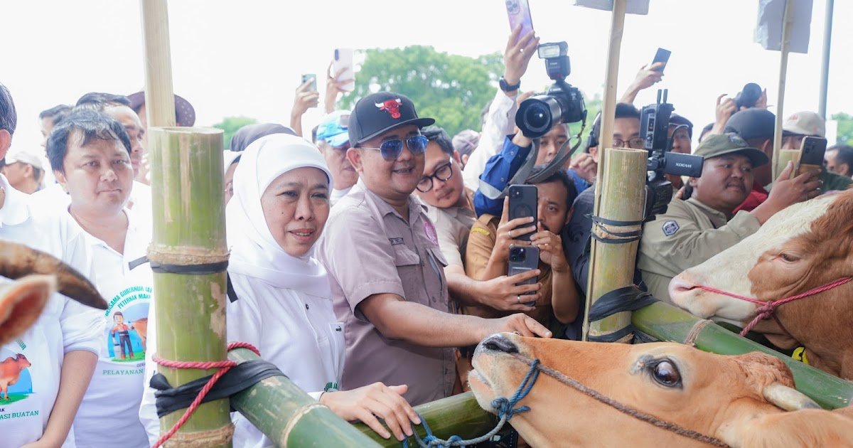 Pemprov Jatim Cetak Rekor MURI untuk Program Inseminasi Buatan Jutaan Sapi