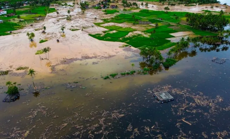 Langkah Darurat Pemerintah Pulihkan Sawah Rusak di 3 Provinsi